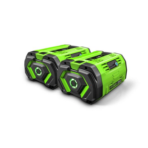 EGO Power+ 12Ah Battery Pack 2pk - Image 2