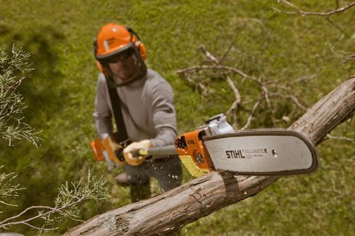 HT 103 Pole Pruner - Image 2
