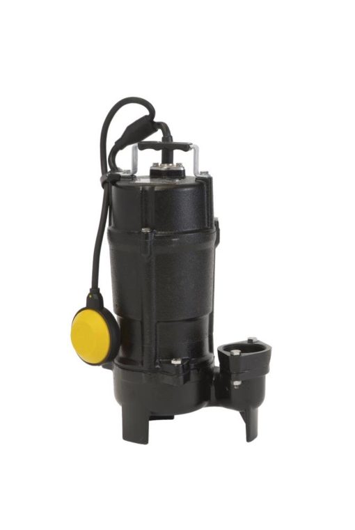 Electric Submersible Pump
