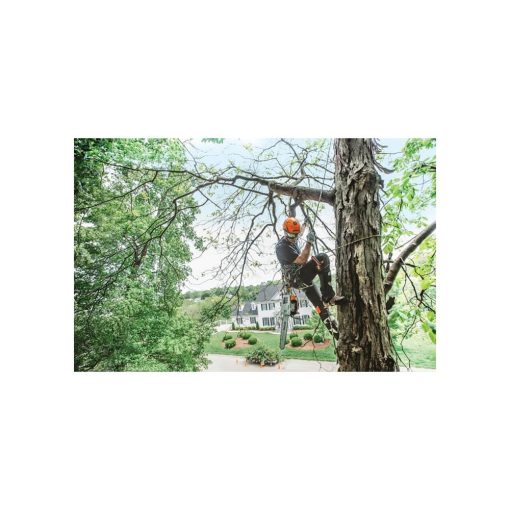 Stihl 14" Bar 35.2cc Gas-Powered Arborist Chainsaw - Image 5