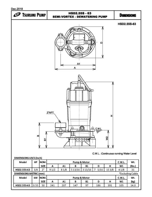 HSD2.55S Electric Submersible Pump - Image 2
