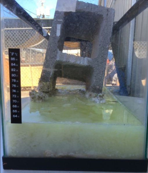 Bullseye Super Quick Concrete Dissolver 55 Gallon - Image 3