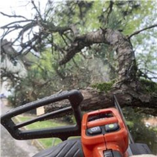 14" T540i XP Chainsaw Kit - Image 2