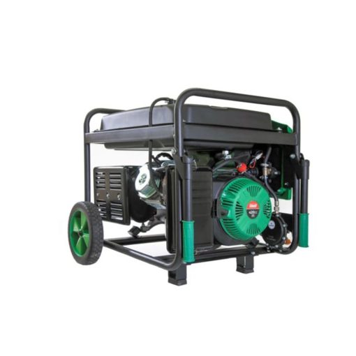 Coleman Dual Fuel Generator 7750W - Image 3