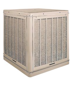 Champion-Essick 5000DD Evaporative Cooler, 11 gal Tank, 2-Speed, 115 V, 13.8 A, Cool Sand