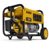 4000 Watt Portable Gas Generator - DXGNR4000