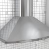 Zephyr Savona 36" Stainless Steel Wall Hood