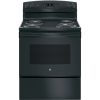 30" Electric Self Clean Range