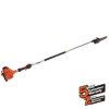 10 in. 21.2cc Gas 2-Stroke Cycle Pole Saw