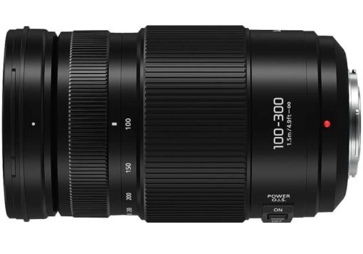 Panasonic LUMIX Vario 100-300mm Lens - Image 2