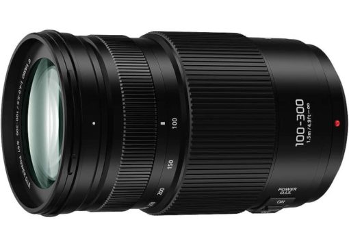 Panasonic LUMIX Vario 100-300mm Lens - Image 4