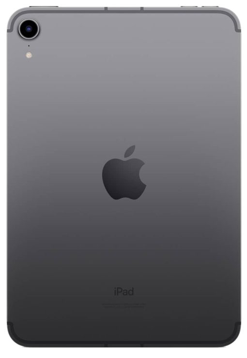 Apple iPad mini 8.3-Inch 256GB Wi-Fi + Cellular Space Gray (2021) - Image 2