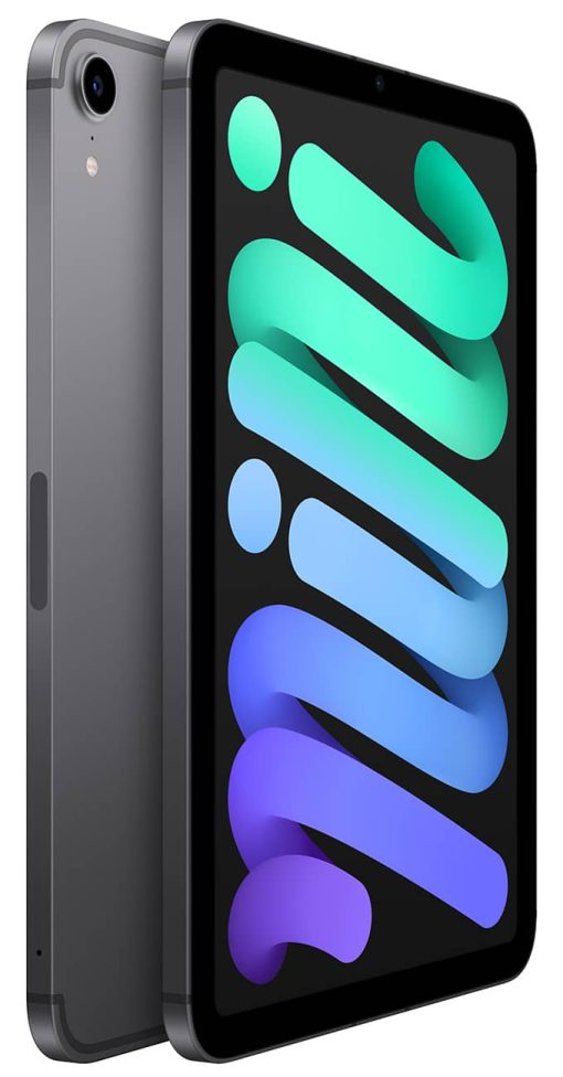 Apple iPad mini 8.3-Inch 256GB Wi-Fi + Cellular Space Gray (2021) - Image 3