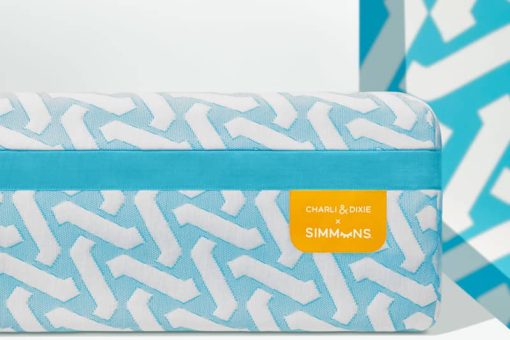 Simmons Charli & Dixie 10" Memory Foam King Mattress In A Box - Image 6