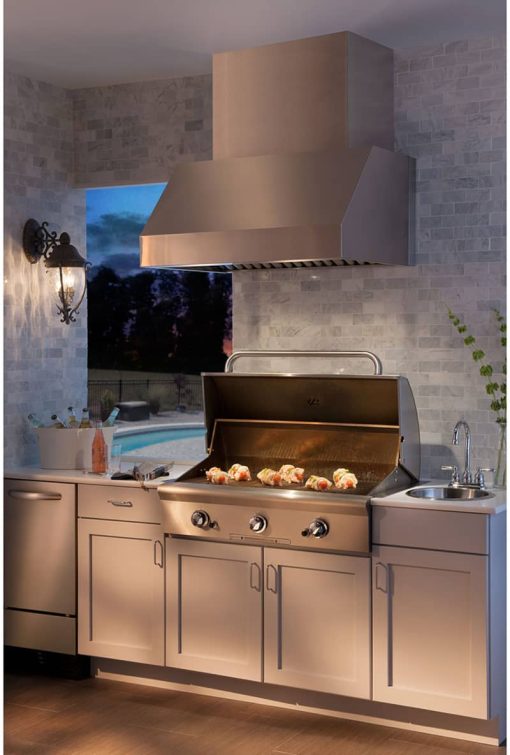 Broan Elite Pro EPD61 Series 48" Stainless Steel Pro-Style Outdoor Range Hood - Image 5