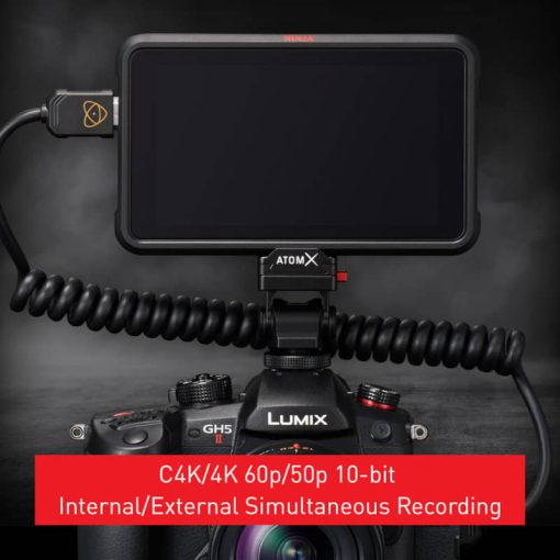 Panasonic Lumix GH5M2 Mirrorless Camera With Live Streaming (Body Only) - Image 10