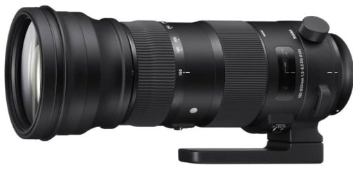 Sigma 150-600mm F5-6.3 DG OS HSM Sport Lens For Nikon F-Mount