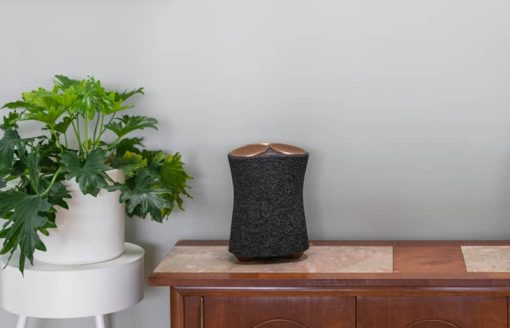 Sony Black Premium Wireless Speaker with Ambient Room-Filling Sound - Image 9