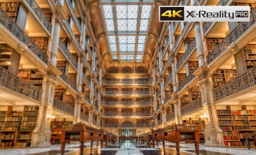 Sony 65" X80K 4K HDR LED TV With Smart Google TV (2022) - Image 10