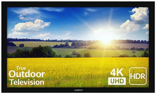 SunBriteTV 49" Black Pro 2 Series 4K UHD Full Sun Outdoor TV