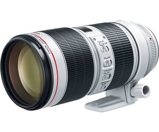 Canon EF 70-200mm f/2.8L IS III USM Telephoto Zoom Lens