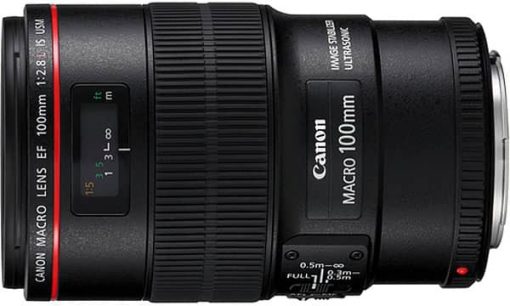 Canon EF 100mm f/2.8L IS USM Macro Camera Lens