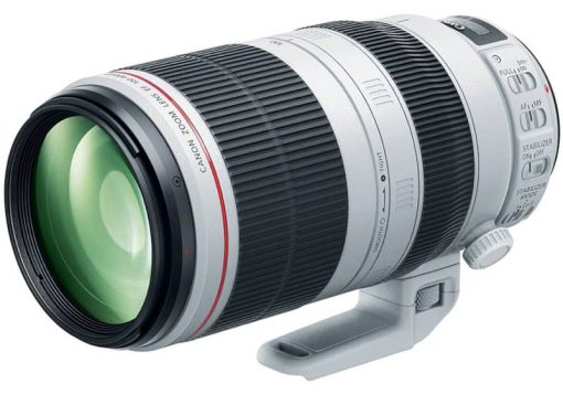 Canon EF 100-400mm f/4.5-5.6L IS II USM Lens