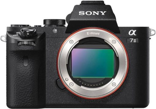 Sony 24.3 MP Full-Frame Mirrorless Camera Body