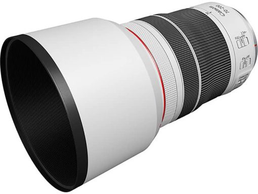 Canon RF 70-200mm F4 L IS USM Lens - Image 7