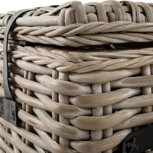 Four Hands Theory Collection Vintage Grey Ciego Trunk - Image 4