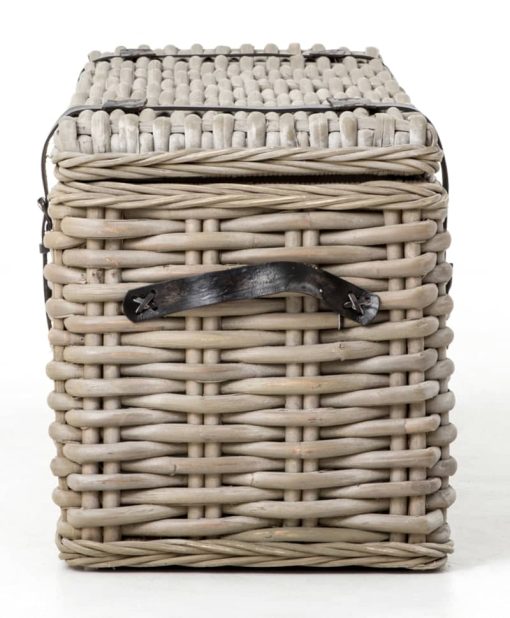 Four Hands Theory Collection Vintage Grey Ciego Trunk - Image 3