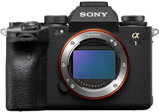 Sony Alpha a1 Mirrorless Digital Camera Body