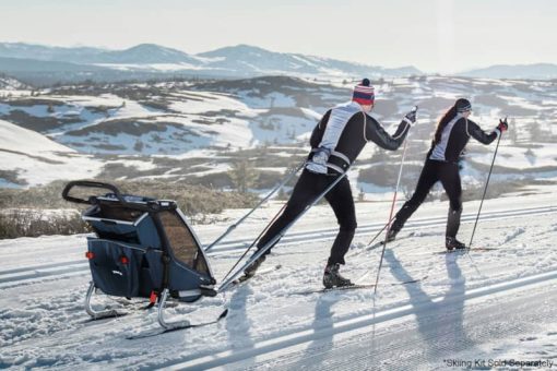 Thule Chariot Cross 2 Alaska Bike Trailer - Image 9