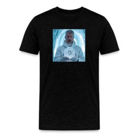 Bitcoin The Custodian of Crypto Winter T-Shirt, BTC Tee, Crypto Shirt