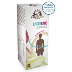 LACTOBAOB COMPOST enzimas digestivas 42caps