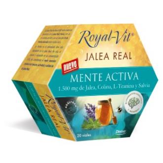 GELEIA REAL ROYAL VIT MENTE ACTIVA 20amp.