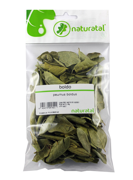 BOLDO (Peumus boldus) 20GR