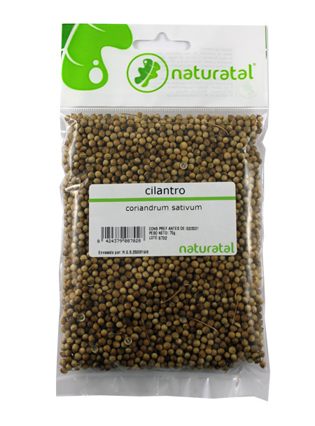 CILANTRO (Coriandrum sativum) 70GR