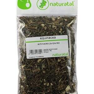 EQUINACEA (Echinacea pupurea) 100GR