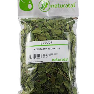 GAYUBA (Arctostaphylos uva-ursi) 75GR