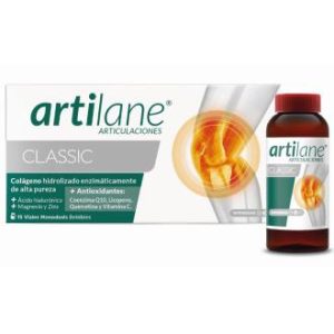 ARTILANE CLASSIC (PRO) 15amp.