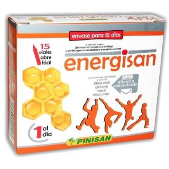 ENERGISAN 15amp.