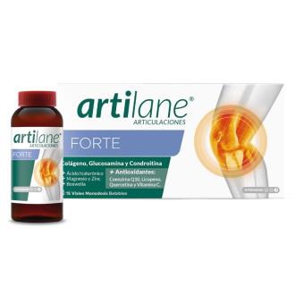ARTILANE FORTE 15amp.