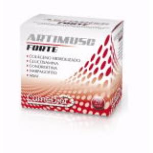 ARTIMUSC forte 20sbrs.