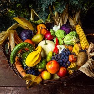 Alimentação BIO