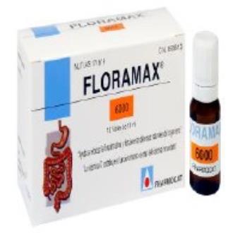 FLORAMAX 6000 10amp.