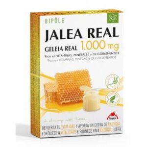 BIPOLE G.REAL FRUCTOS.1000mg 20amp