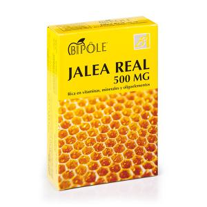 BIPOLE G.REAL FRUCTOSA 500mg 20amp
