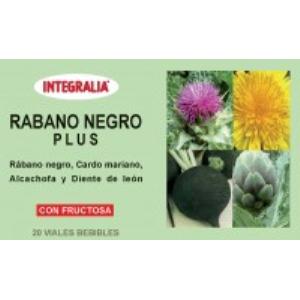 RABANO PRETO plus 20amp.