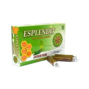 ESPLENDIT adultos e seniores 20amp.